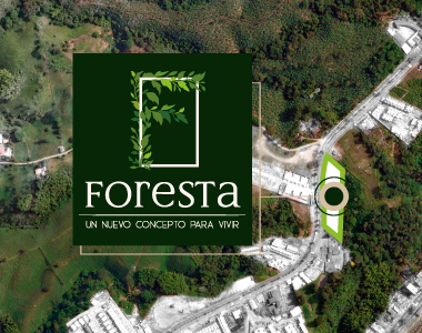 foresta